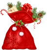new year bag